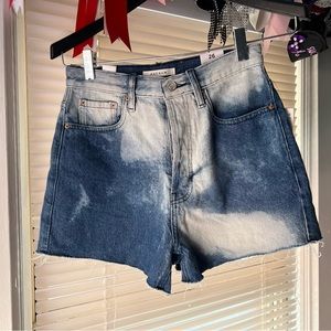 pacsun shorts